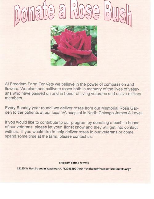 rose bush flyer
